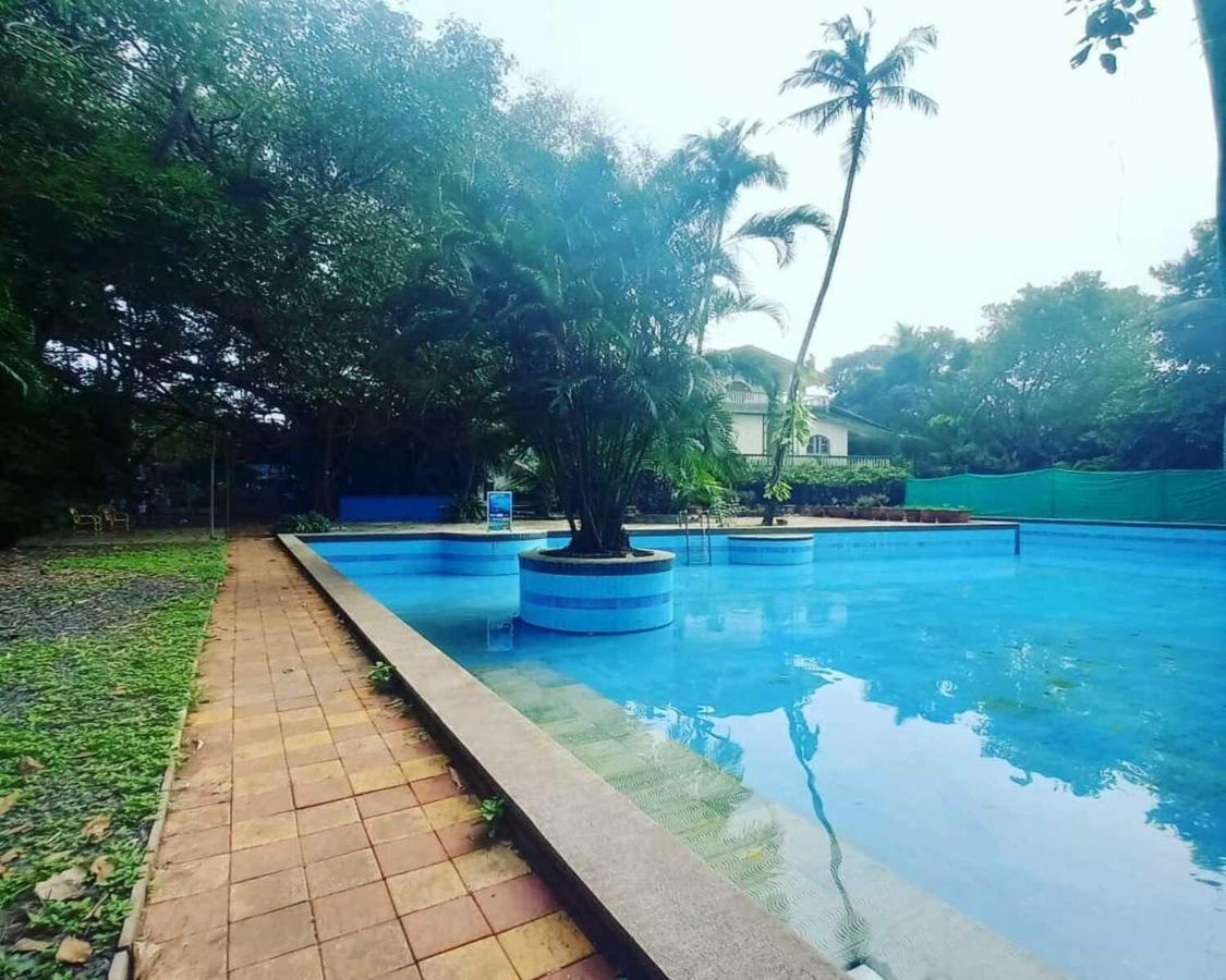 Piggy Calangute By Urban Nomads - Dorms & Pvt Rooms GOA Esterno foto